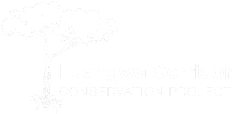 Luangwa Corridor Conservation Project